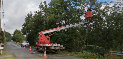 Intervention de sécurisation sur des grands arbres en bord de Sèvre