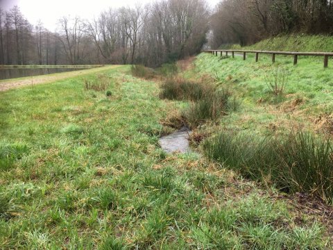 Bras de contournement deux ans après les travaux- plan deau du Beugnon (79)