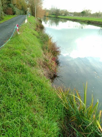 Berges avant travaux sur la Sèvre niortaise (Maillé 85)