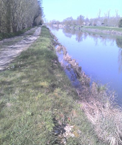 Berges avant travaux sur le canal du Mignon (La Ronde 17)