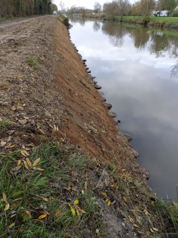 Berges après travaux sur le canal du Mignon (La Ronde 17)