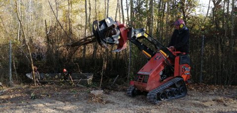 Travaux d'élagage sur le Domaine Public Fluvial à Marans