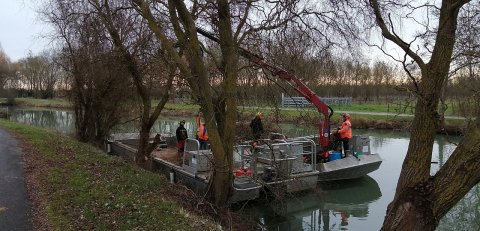 Travaux d'élagage sur le DPF 