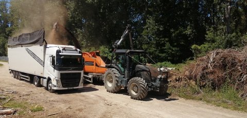 Broyage des bois issus des chantiers d'élagage